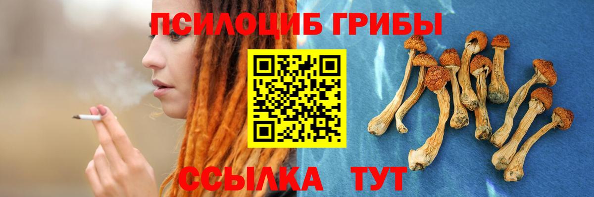Галлюциногенные грибы GOLDEN TEACHER Канаш